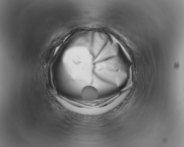 X0000116871447201001121252