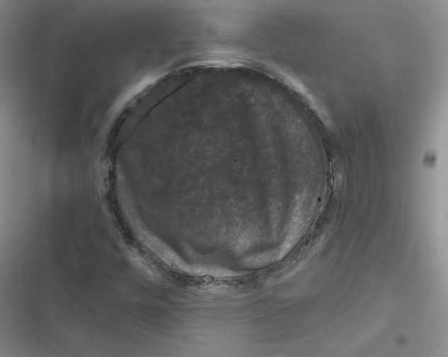 X0000116871448201001121252