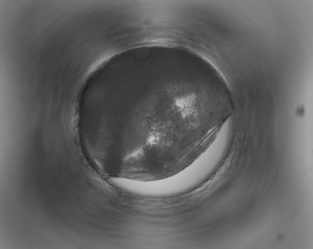 X0000116871450201001121252