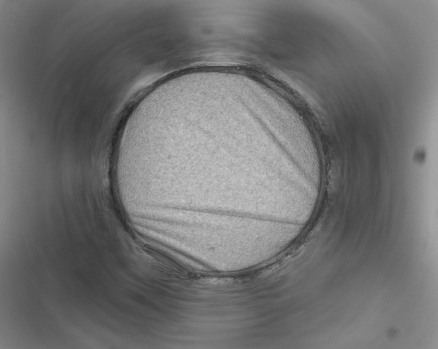 X0000116871451201001121252