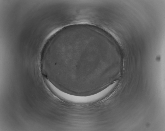 X0000116871452201001121252