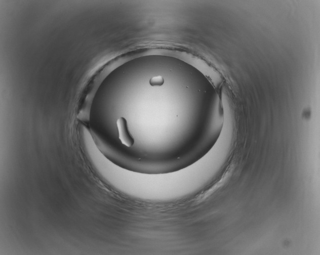 X0000116871453201001121252