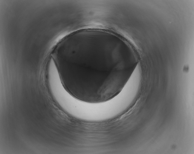 X0000116871455201001121251