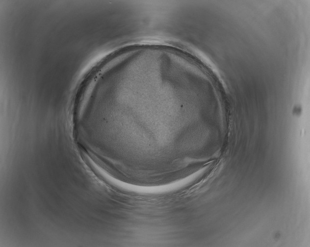 X0000116871456201001121251