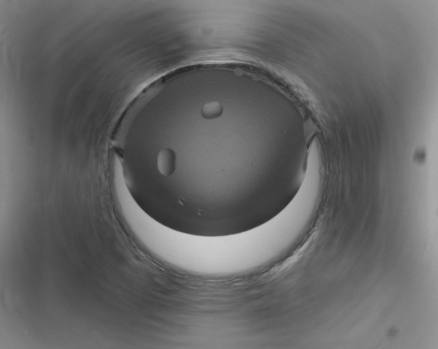 X0000116871457201001121251