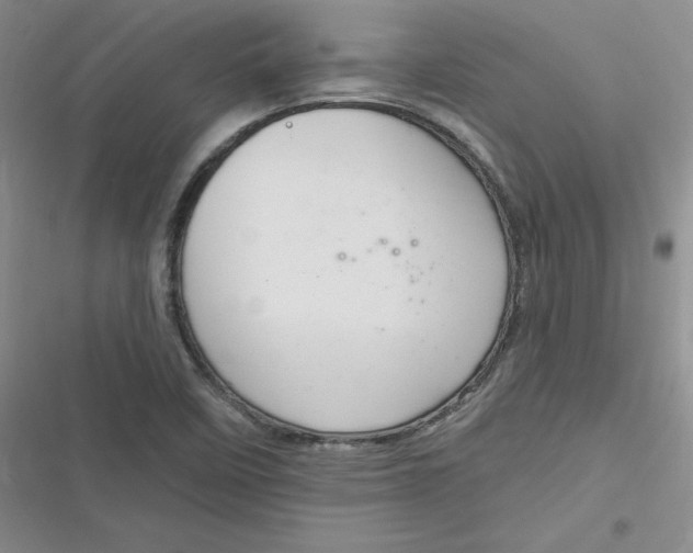 X0000116871458201001121251