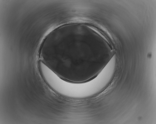 X0000116871459201001121251