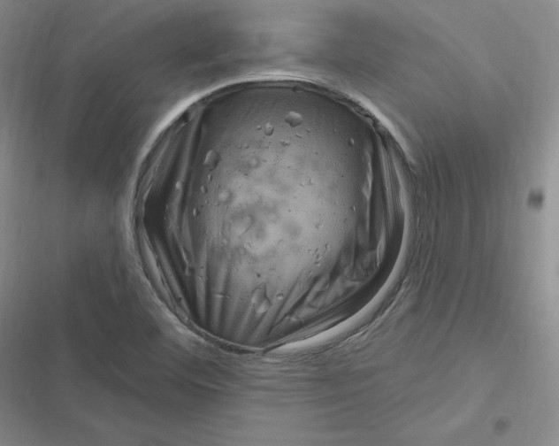 X0000116871460201001121251