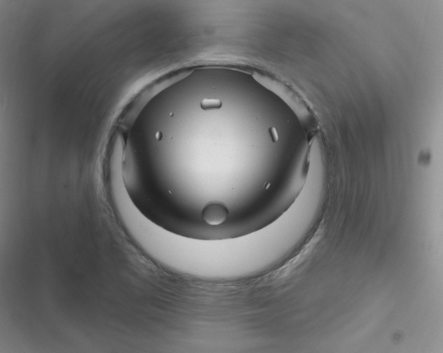 X0000116871461201001121251