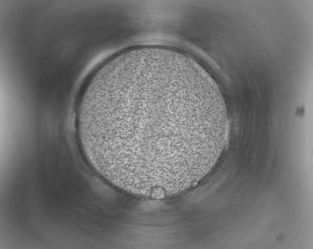 X0000116871462201001121251