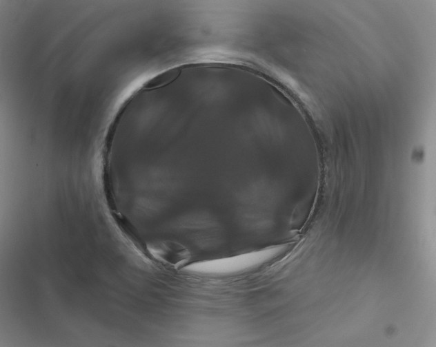 X0000116871463201001121251