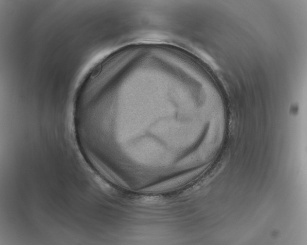 X0000116871464201001121251