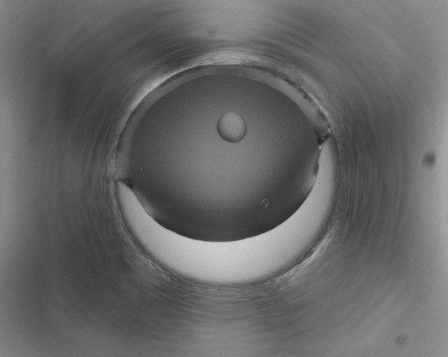 X0000116871465201001121251