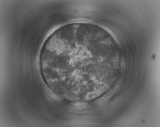 X0000116871466201001121251