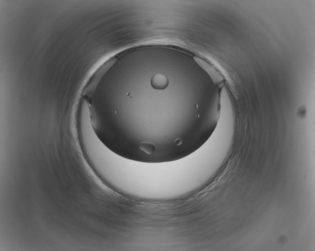 X0000116871468201001121251