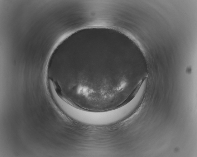 X0000116871469201001121251