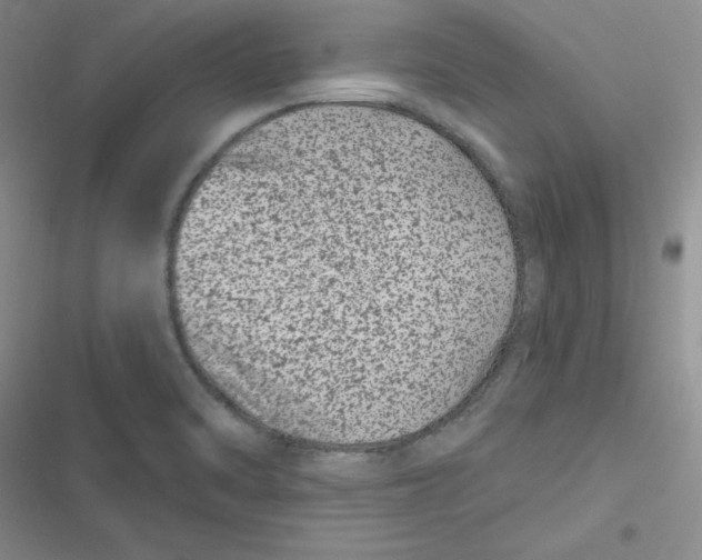 X0000116871470201001121251