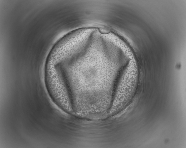 X0000116871471201001121251