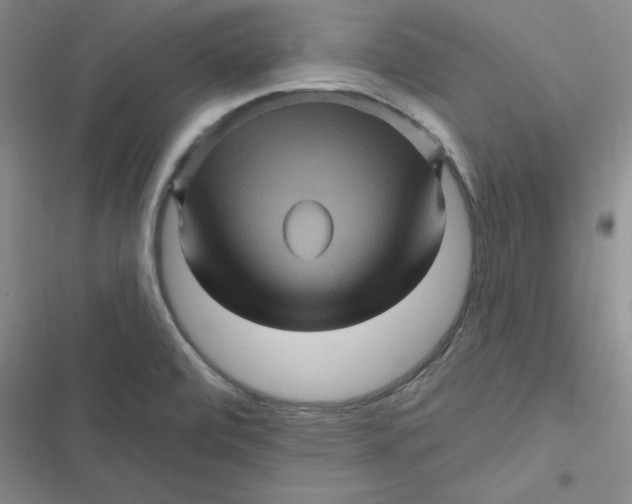 X0000116871472201001121251