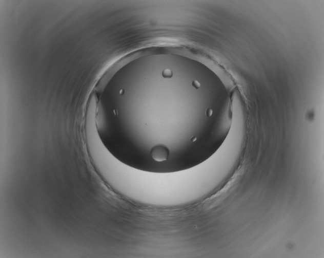 X0000116871473201001121251