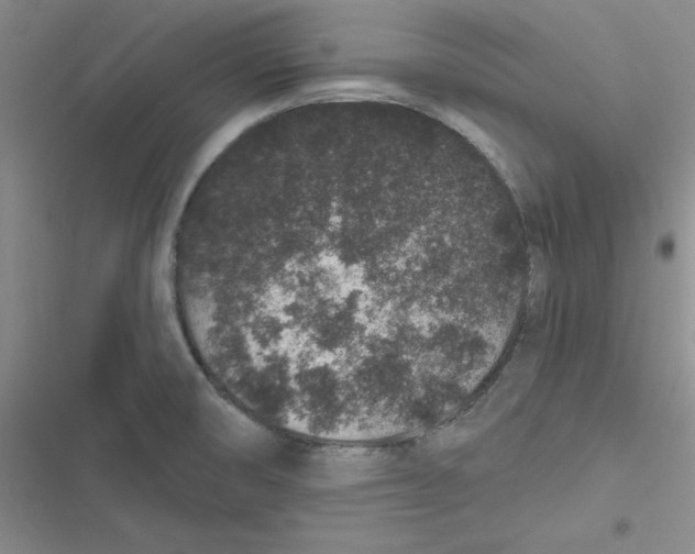 X0000116871474201001121251