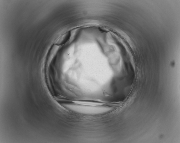 X0000116871475201001121251