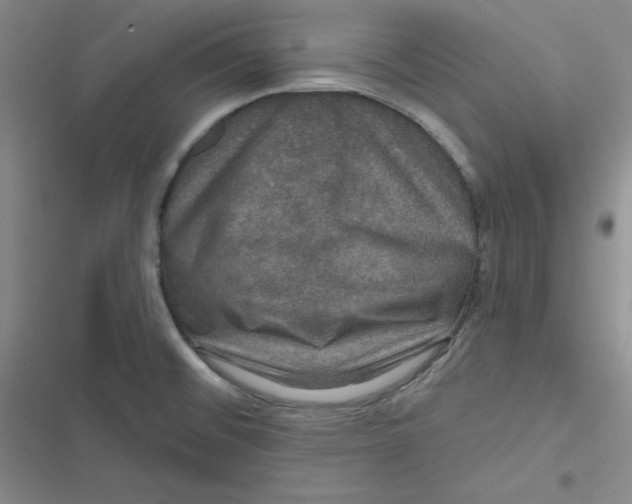 X0000116871476201001121251