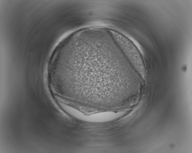 X0000116871477201001121251