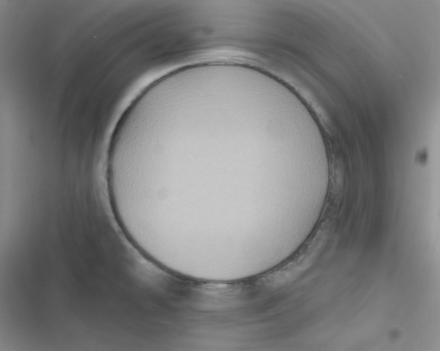 X0000116871478201001121251