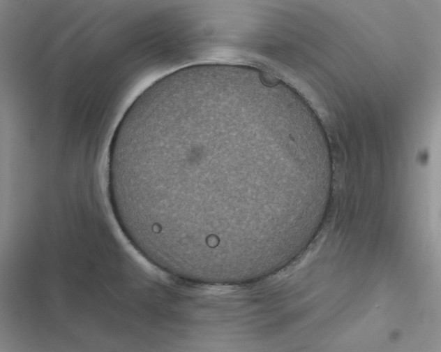 X0000116871479201001121251