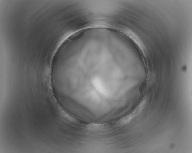 X0000116871481201001121251