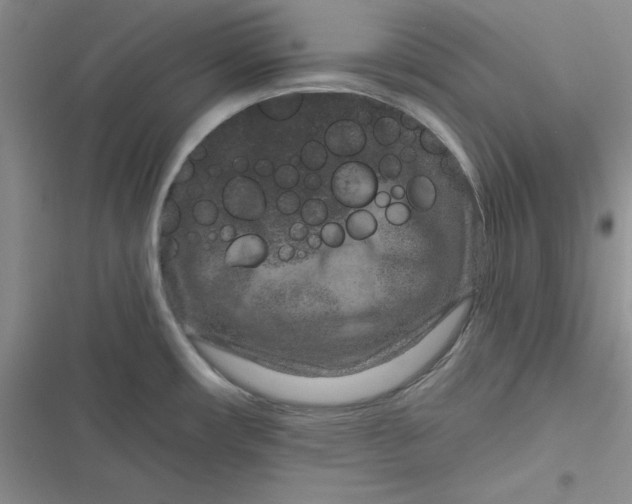 X0000116871482201001121251