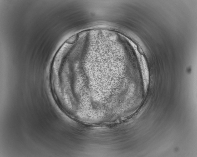 X0000116871483201001121251