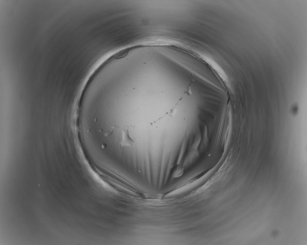 X0000116871484201001121251