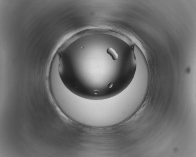 X0000116871485201001121251