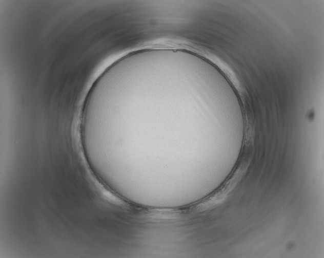 X0000116871486201001121251