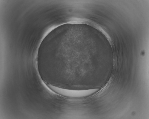 X0000116871487201001121251