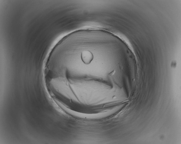 X0000116871488201001121251