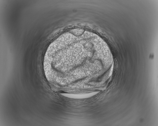 X0000116871489201001121250