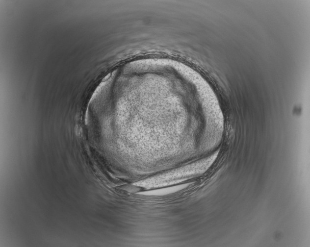 X0000116871490201001121250