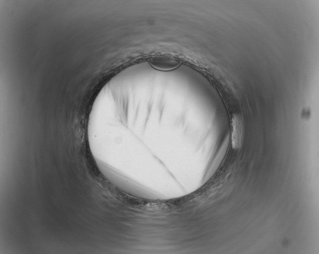 X0000116871491201001121250