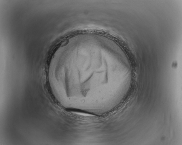 X0000116871493201001121250