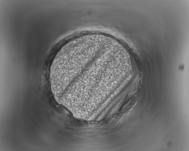 X0000116871494201001121250