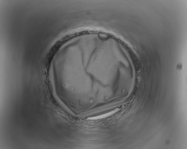 X0000116871495201001121250