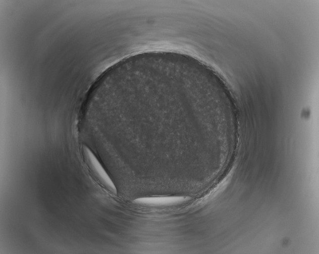 X0000116871497201001121250