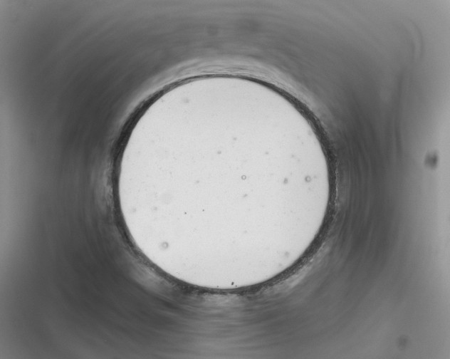 X0000116871498201001121251