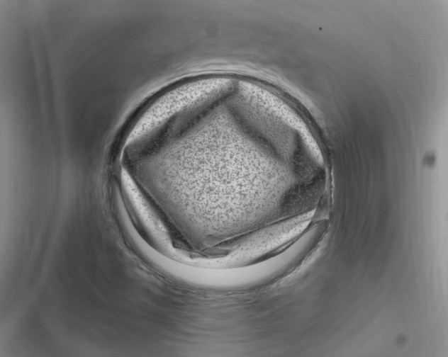 X0000116871501201001121251