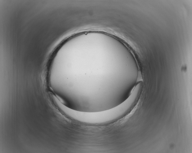 X0000116871502201001121251