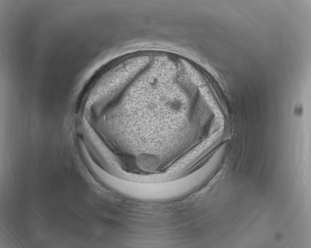 X0000116871503201001121251