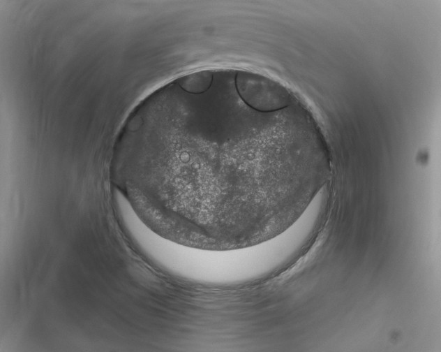 X0000116871505201001121251